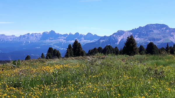 montagne